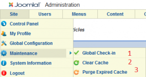 Joomla Clear Cache