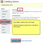 CataBlog Admin Menu Options Part Two