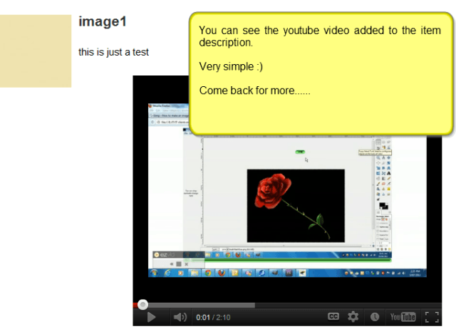 catablog-embed-video-displayed