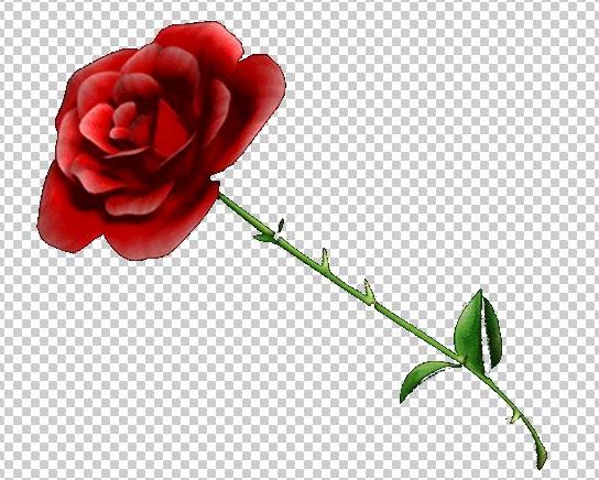 gimp-transparent-background-rose