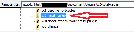 w3-total-cache-plugin-2