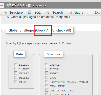 install-joomla-local-database-add-user-privileges