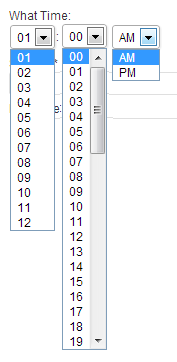 fast-secure-contact-form2-time