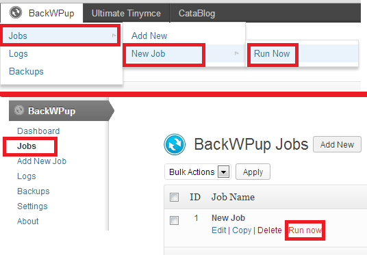 backwpup-run-job-now