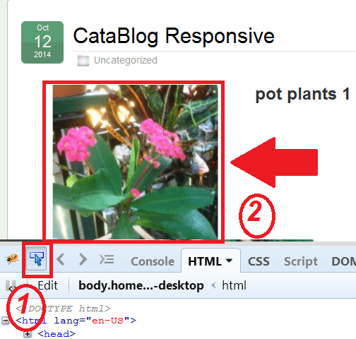 catablog-responsive-settings-select-image