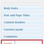 Suffusion Theme Options Typography Footer