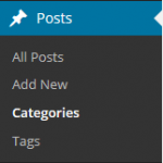 First Time Blogging WordPress Categories And Tags