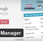 WordPress Tracking Code Plugins