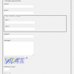 Fast Secure Contact Form Custom CSS Style Formatting