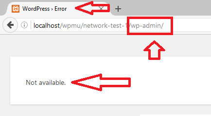 wordpress-multisite-setup-single-site-aiowsp-rename-login-page-error