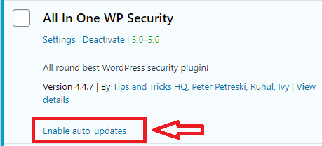 enable-auto-update-in-how-to-install-wordpress-plugin