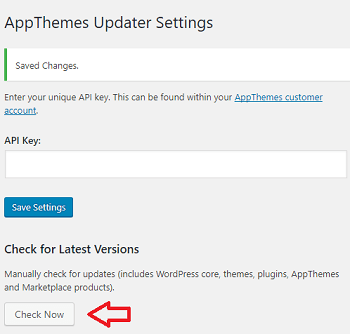 vantage-theme-after-activation-check-for-updates