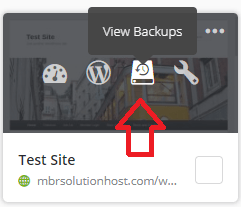 wordpress-view-managewp-backup