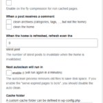 Hyper Cache Advanced Settings