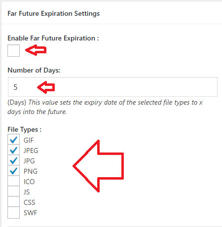 far-future-expiration-settings.