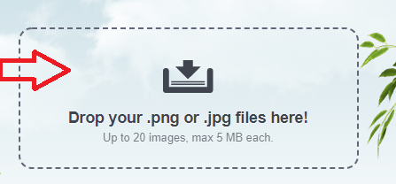 optimize-images-tiny-png-site