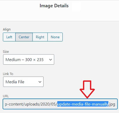 4-edit-media-file-url-manually