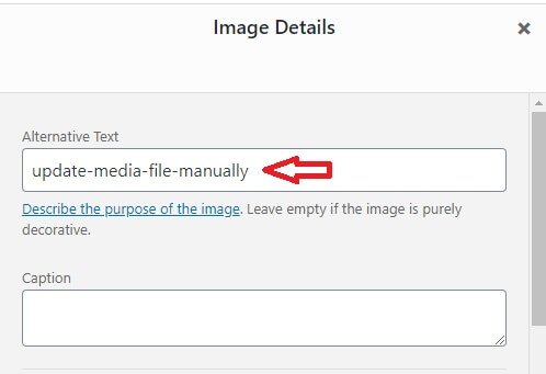 5-edit-media-file-manually-alternative-text