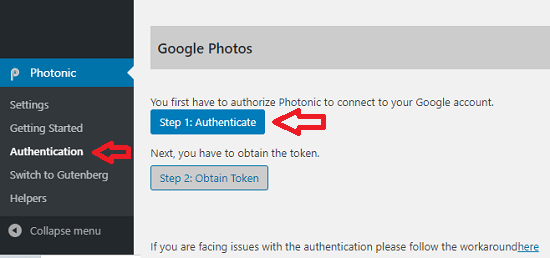 google-api-manager-credentials-authenticate-google-photos-photonic