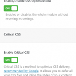WP Speed Booster Pack CSS Optimizations
