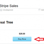 Selling Products Using Stripe Payments