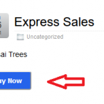 Selling a Product Using WP Express Checkout