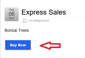 wp-express-checkout-display-product-buy-now-button