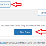 Add New Form Using MailPoet